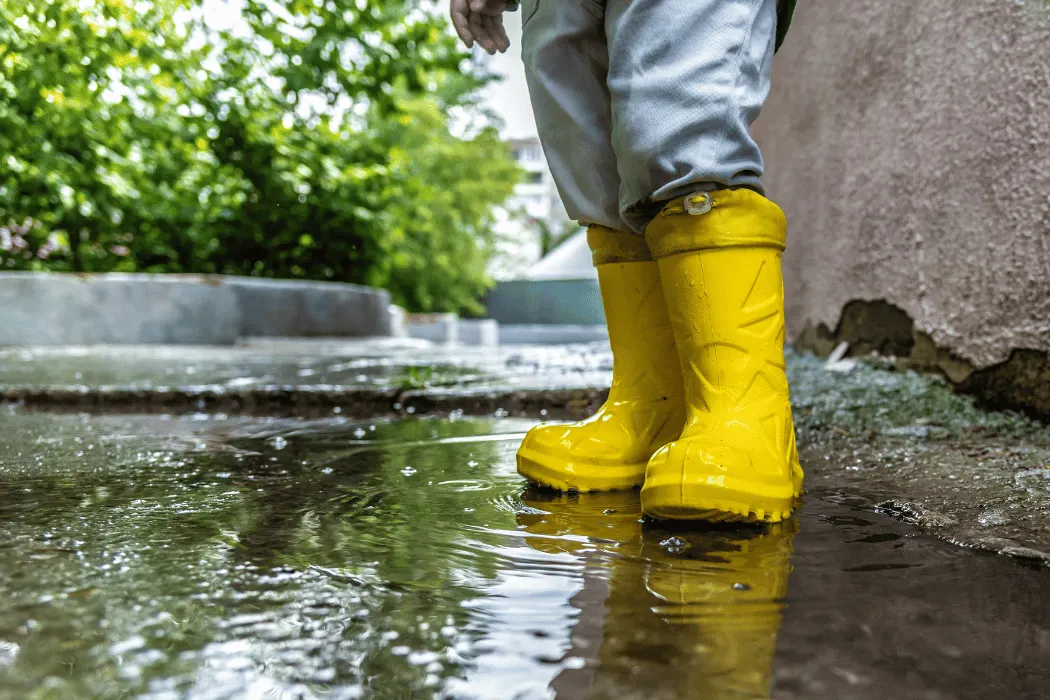 Irvine Emergency Water Extraction